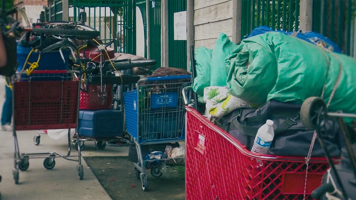 LowBarrier vs. HighBarrier Shelter